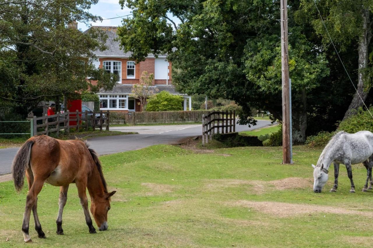 Surrey Lodge Brockenhurst Zewnętrze zdjęcie
